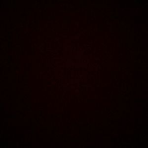 Meet your Posher, Lucy